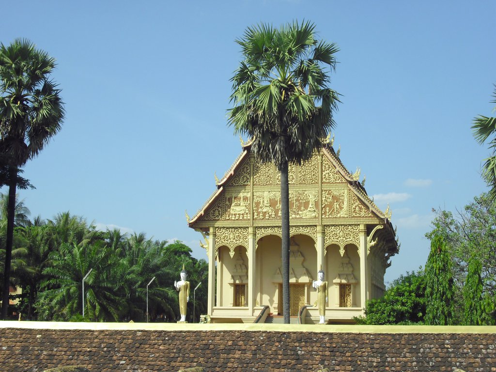 Image CIMG2009.JPG