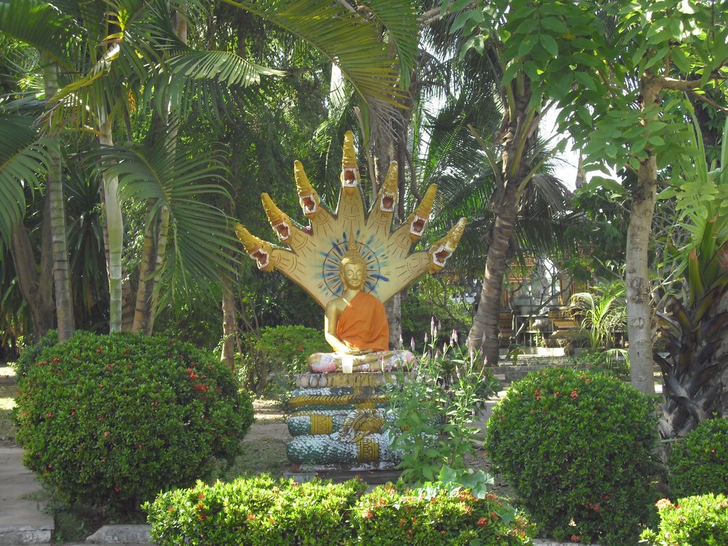 Image CIMG2042.JPG