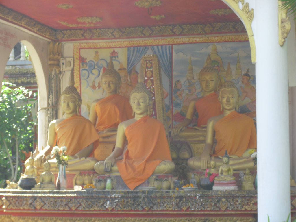 Image CIMG2043.JPG