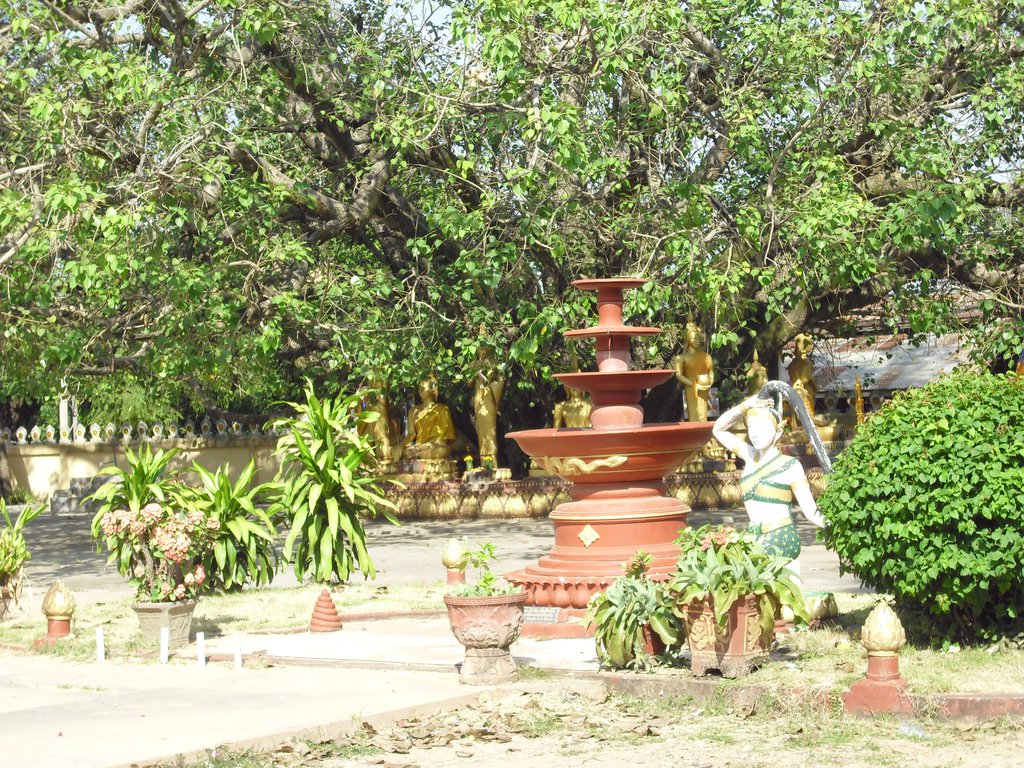 Image CIMG2046.JPG