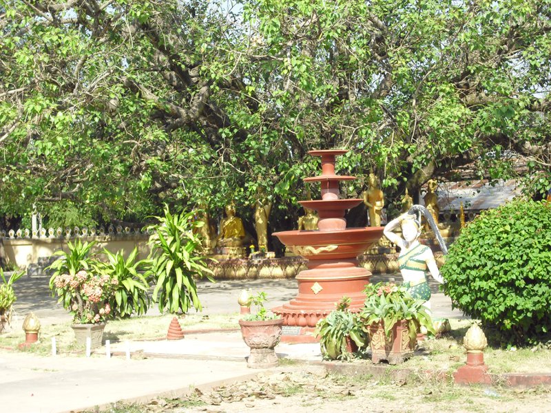 Image CIMG2046.JPG