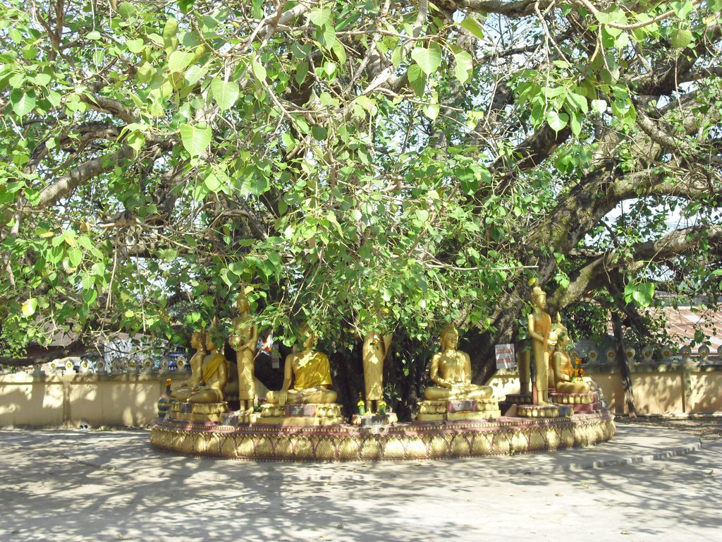 Image CIMG2048.JPG