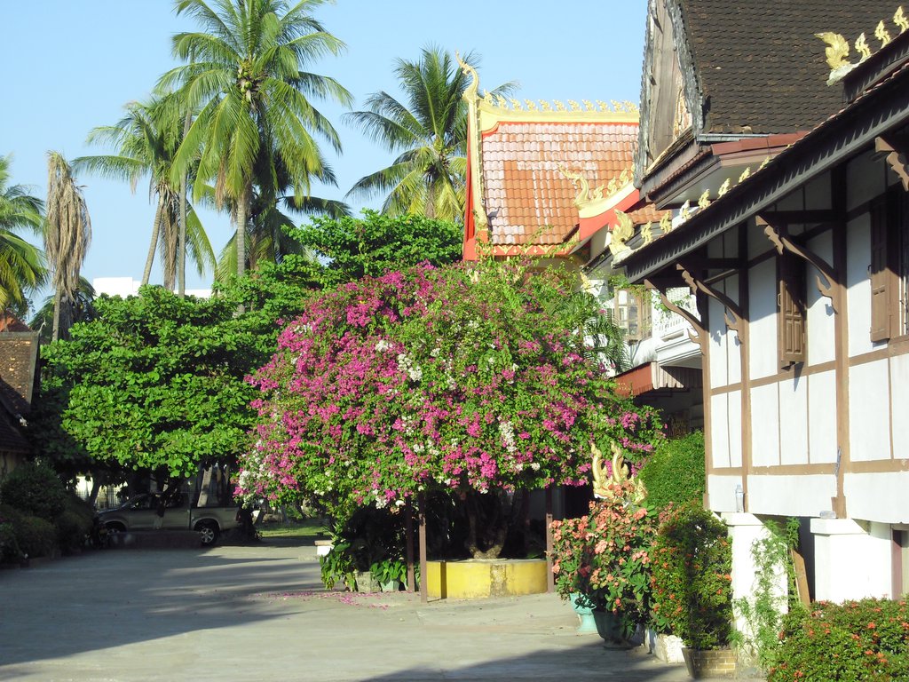 Image CIMG2079.JPG