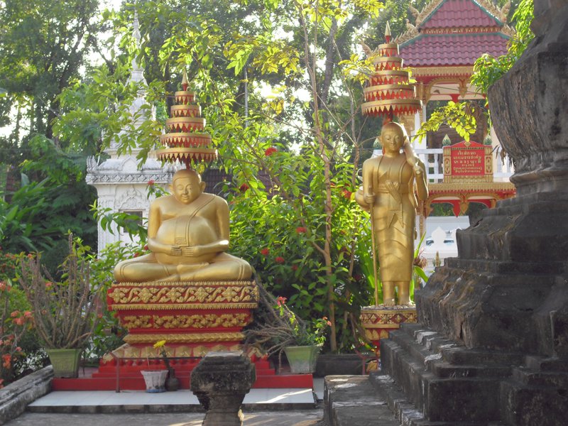 Image CIMG2081.JPG