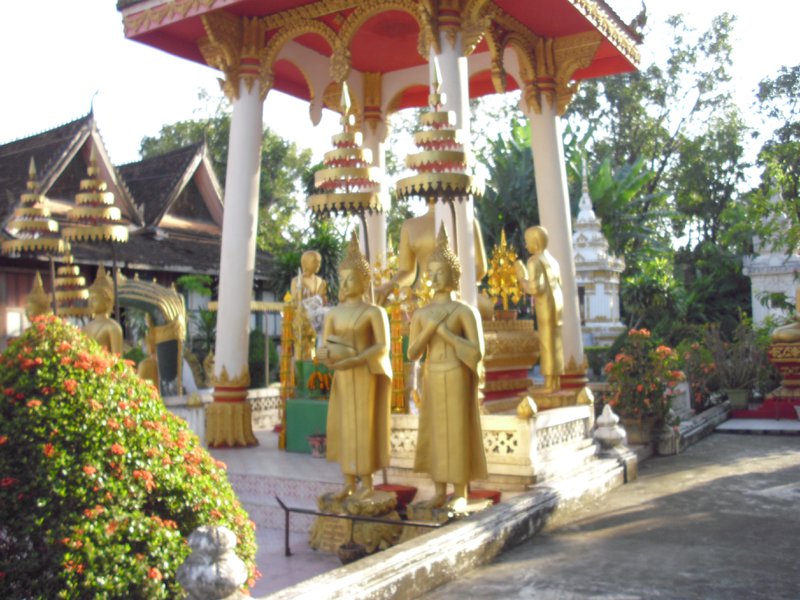 Image CIMG2082.JPG