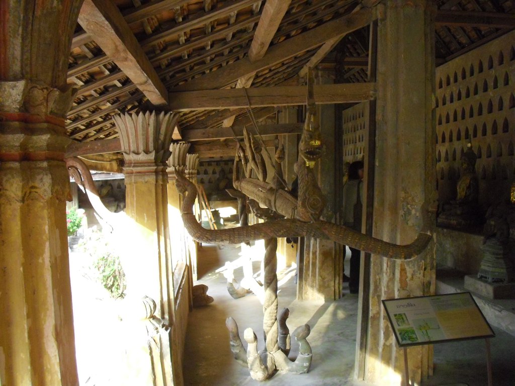 Image CIMG2097.JPG