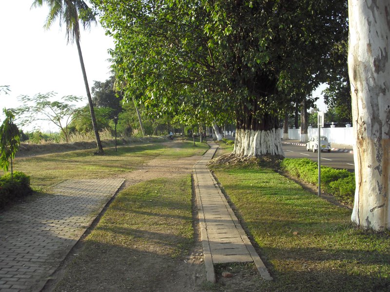Image CIMG2101.JPG