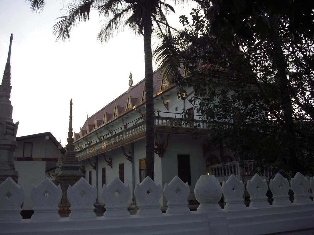Image CIMG2114.JPG