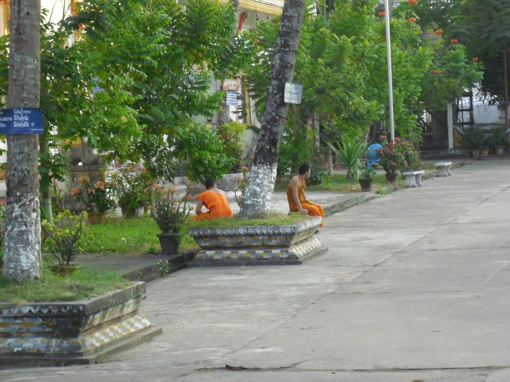 Image CIMG2117.JPG