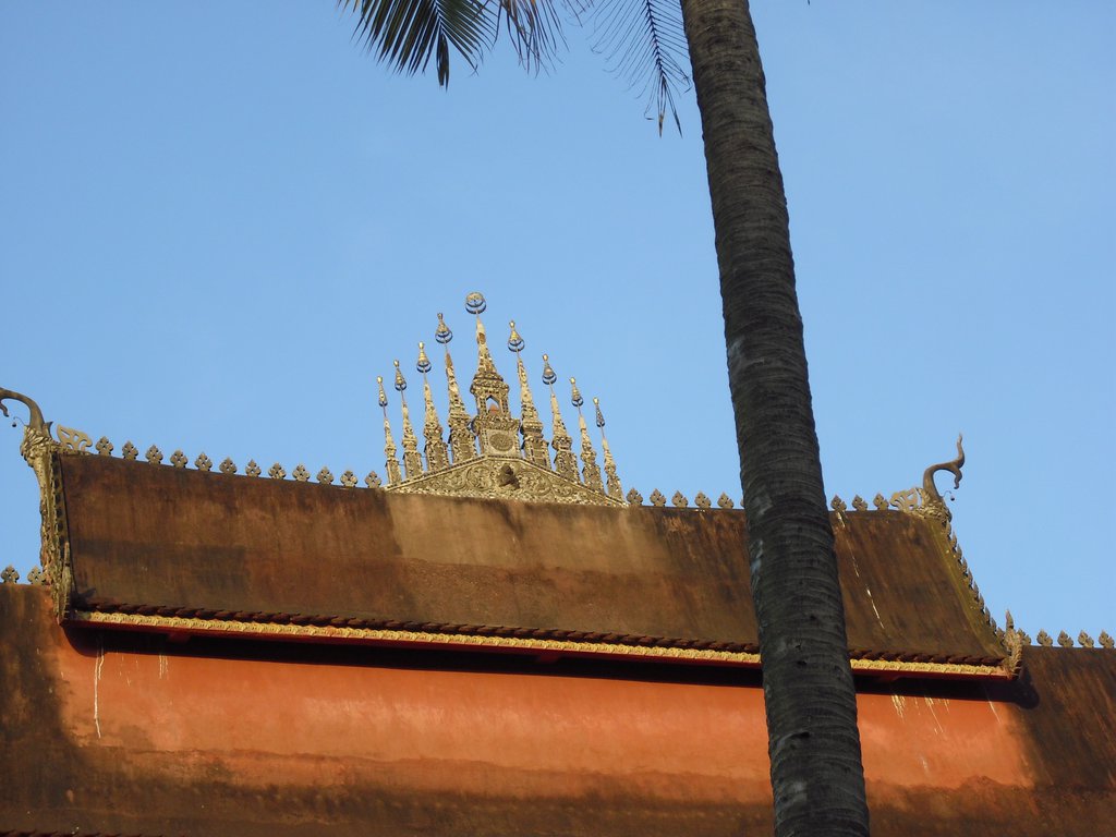 Image CIMG2120.JPG