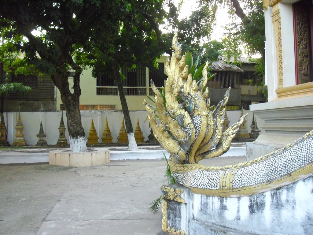 Image CIMG2121.JPG
