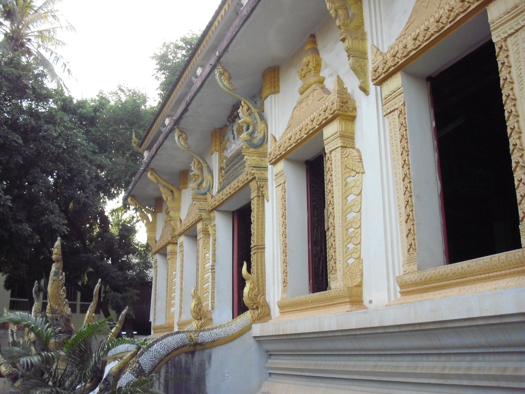 Image CIMG2123.JPG