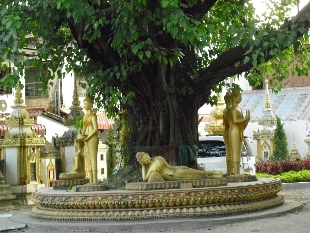 Image CIMG2124.JPG