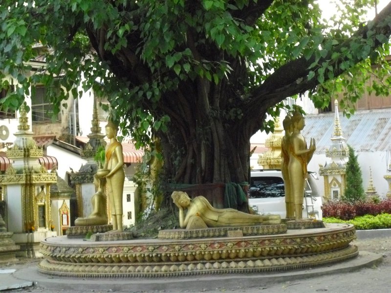 Image CIMG2124.JPG