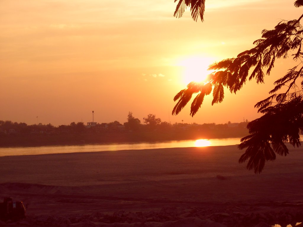 Image CIMG2135.JPG