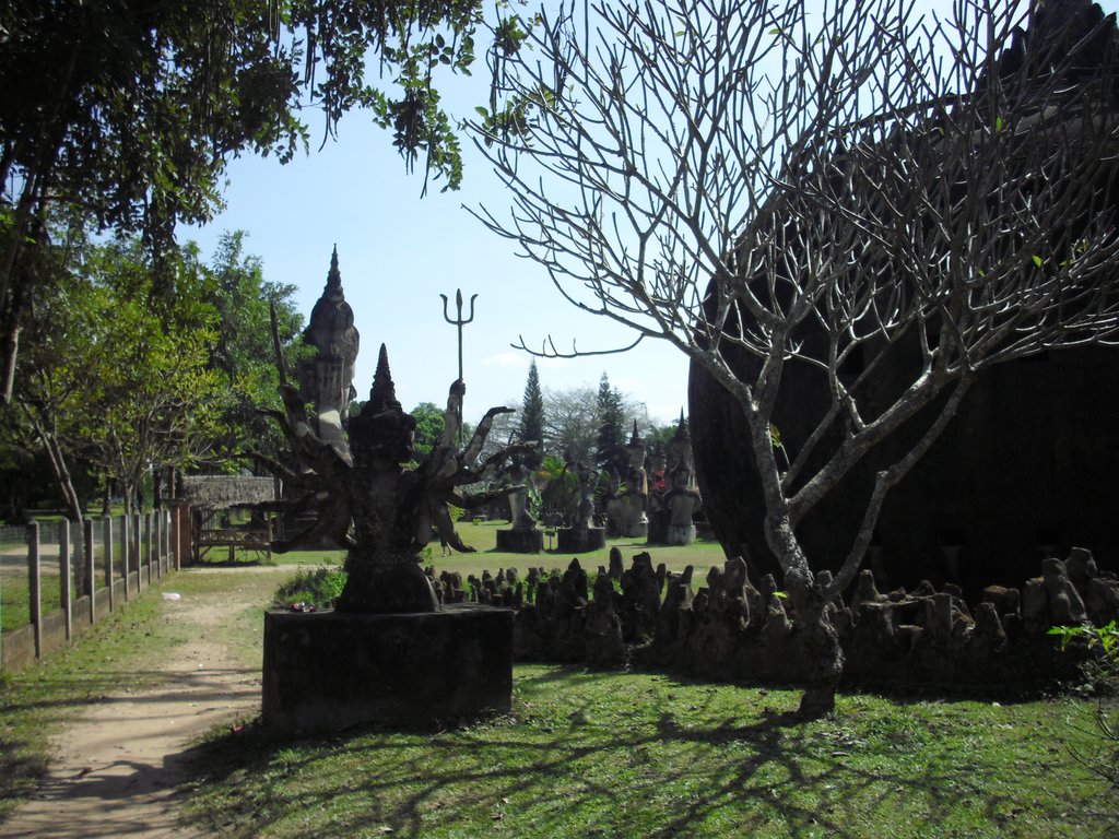 Image CIMG2156.JPG