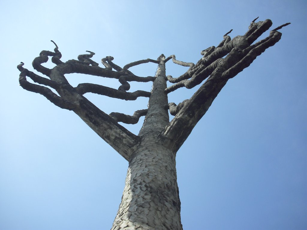 Image CIMG2167.JPG