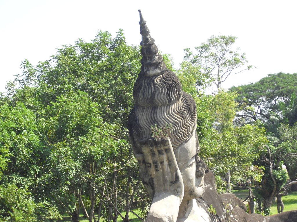 Image CIMG2168.JPG