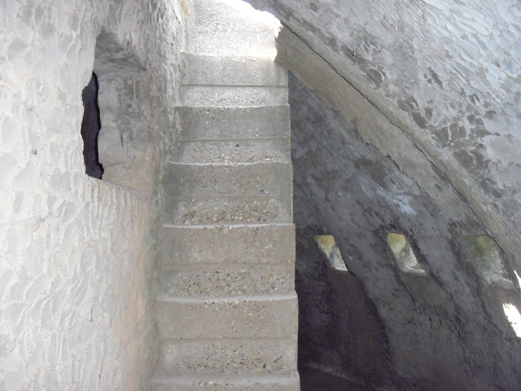 Image CIMG2169.JPG
