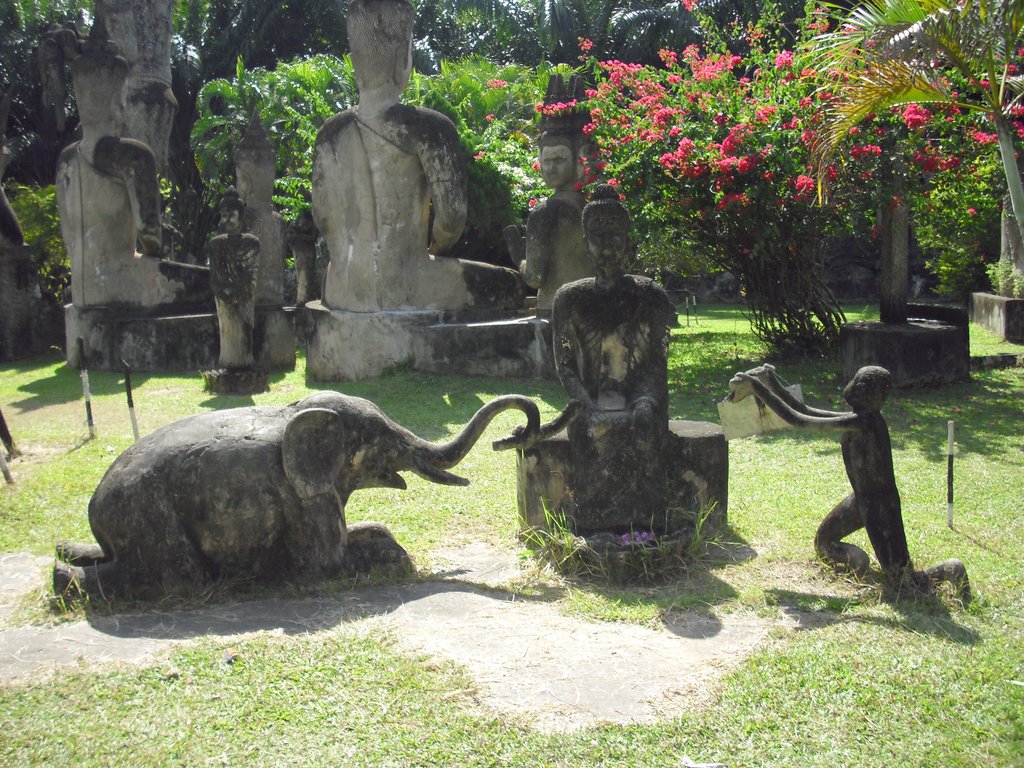 Image CIMG2177.JPG