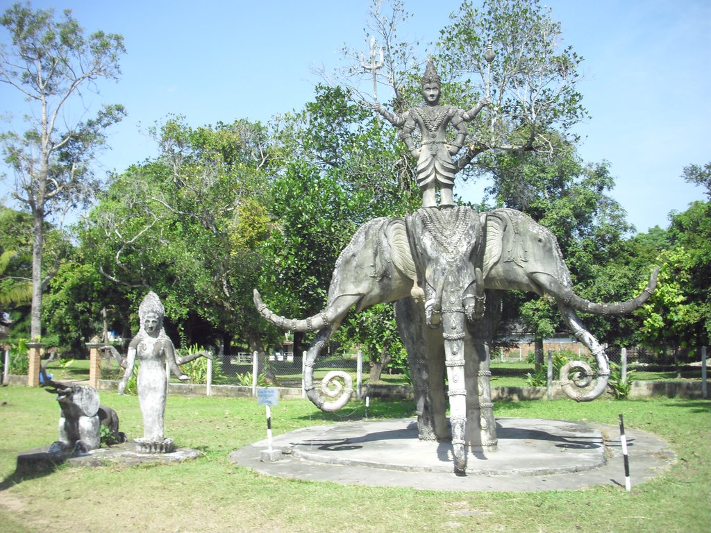 Image CIMG2184.JPG