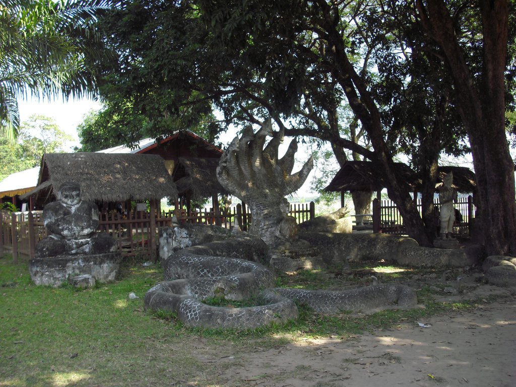 Image CIMG2186.JPG
