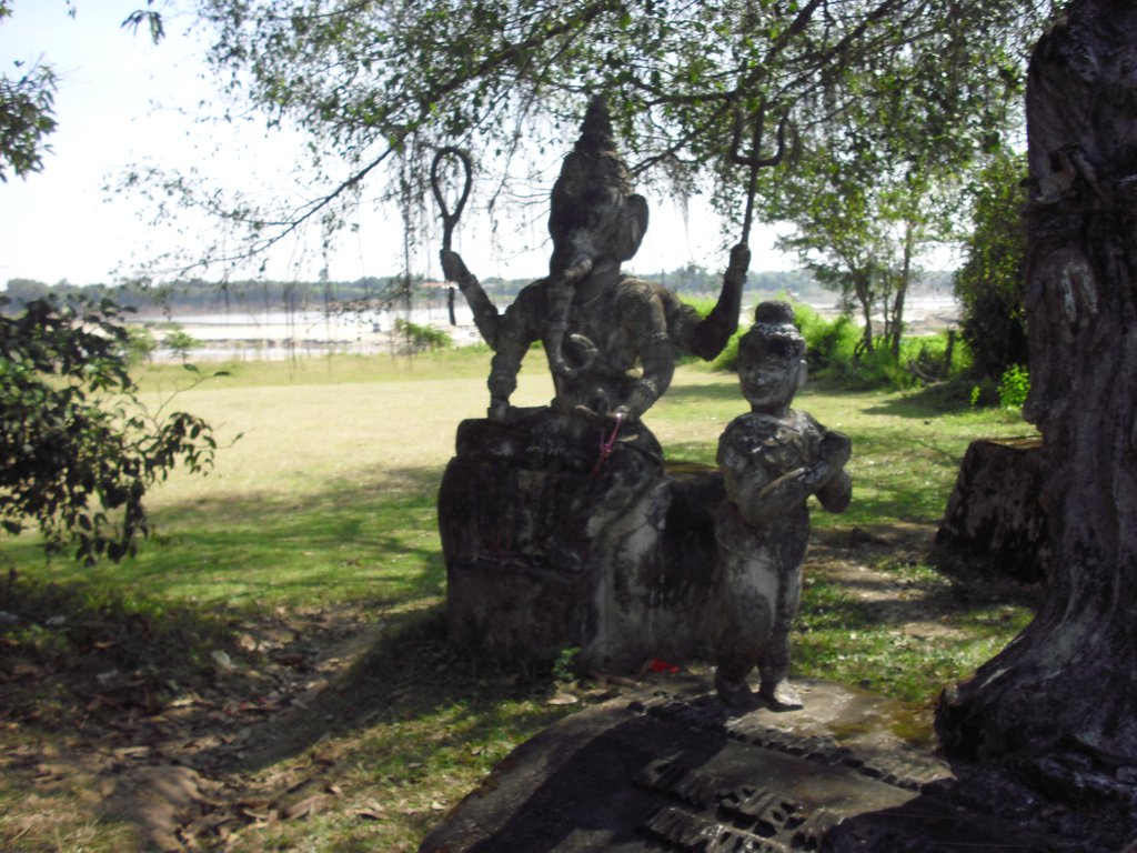 Image CIMG2189.JPG