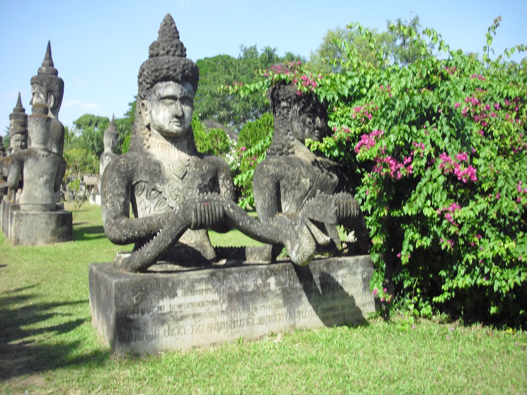 Image CIMG2196.JPG