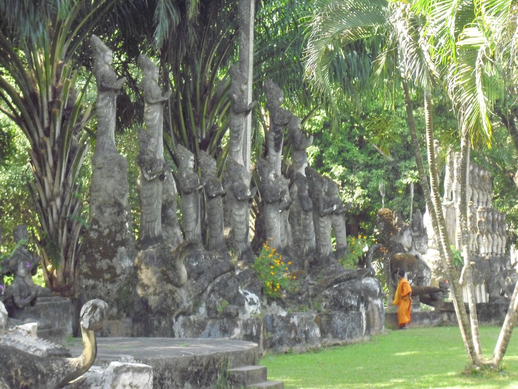 Image CIMG2201.JPG