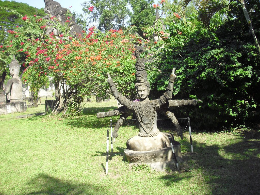 Image CIMG2203.JPG