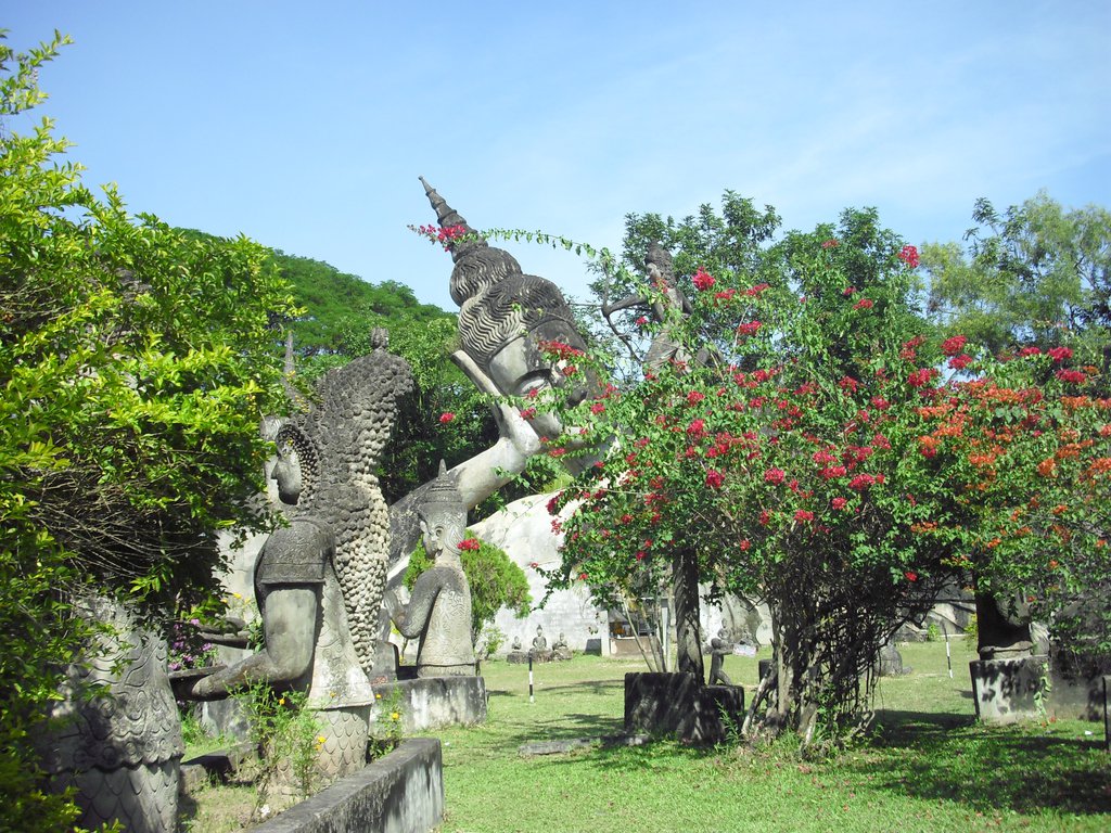 Image CIMG2204.JPG