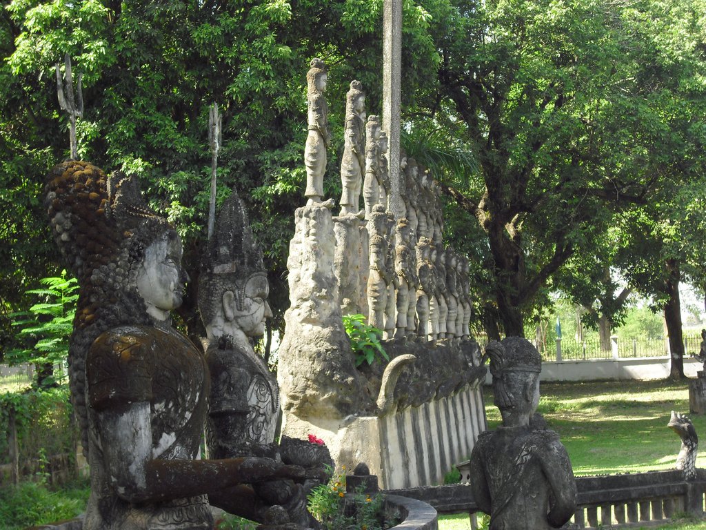Image CIMG2205.JPG