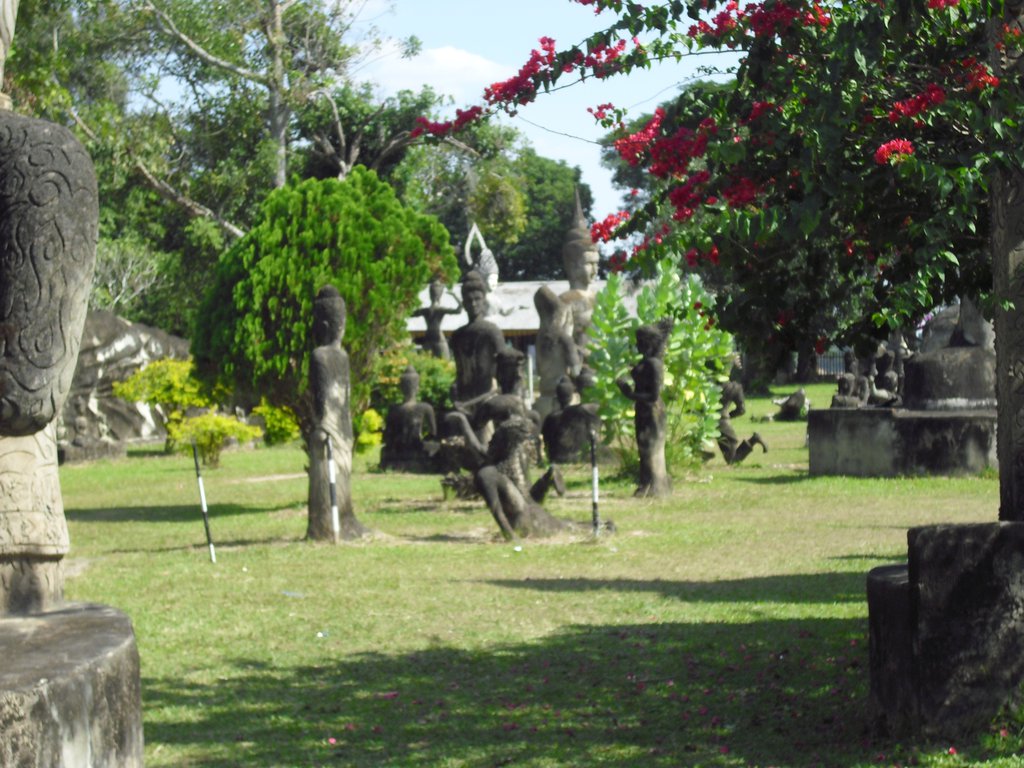 Image CIMG2211.JPG