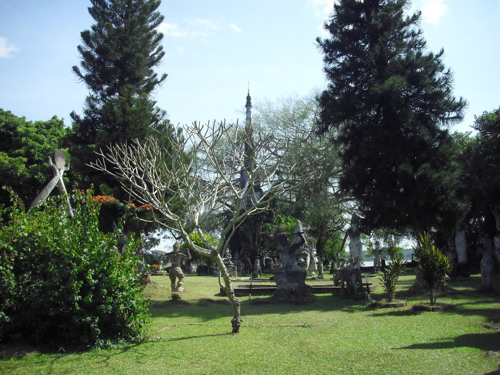 Image CIMG2215.JPG
