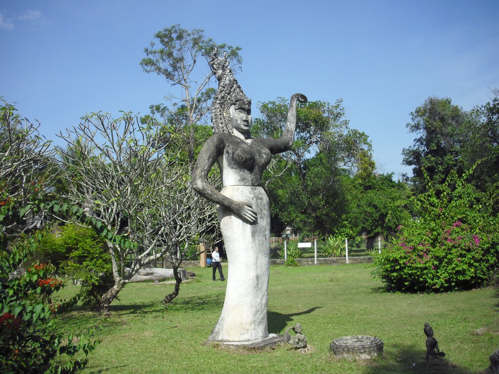 Image CIMG2216.JPG