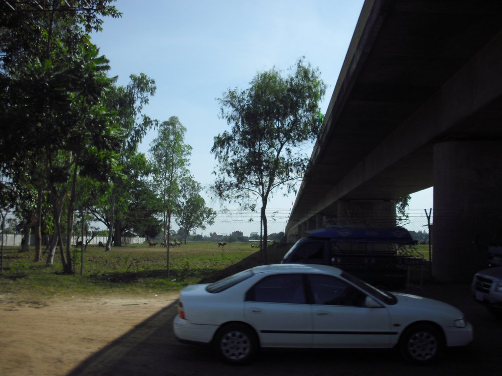 Image CIMG2223.JPG
