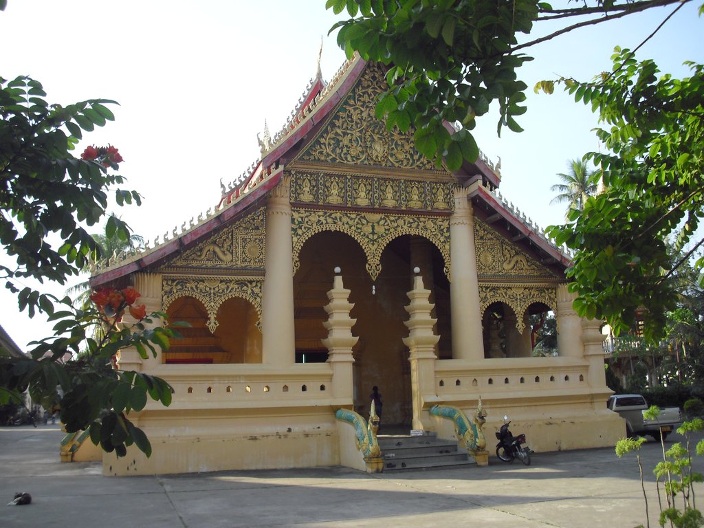Image CIMG2233.JPG