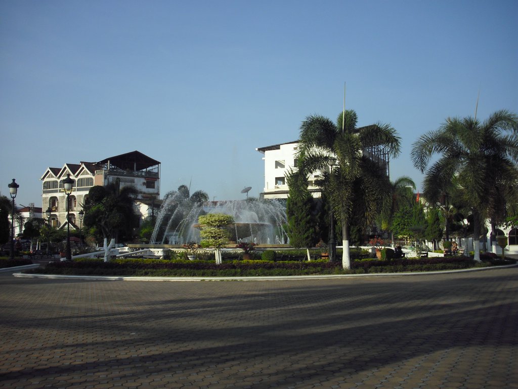 Image CIMG2235.JPG
