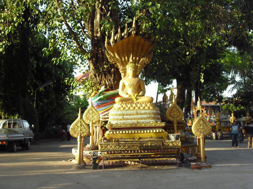 Image CIMG2237.JPG