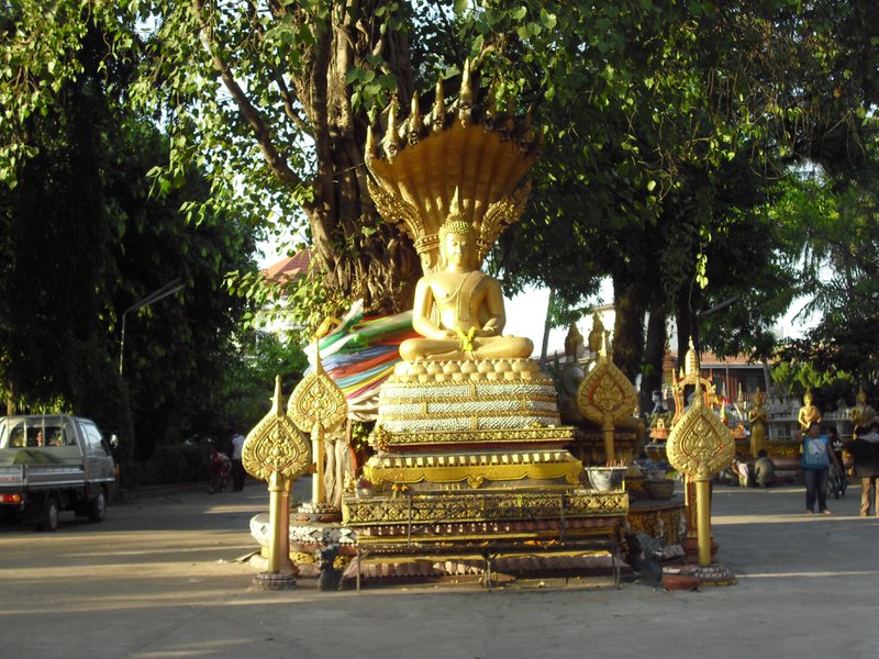 Image CIMG2237.JPG