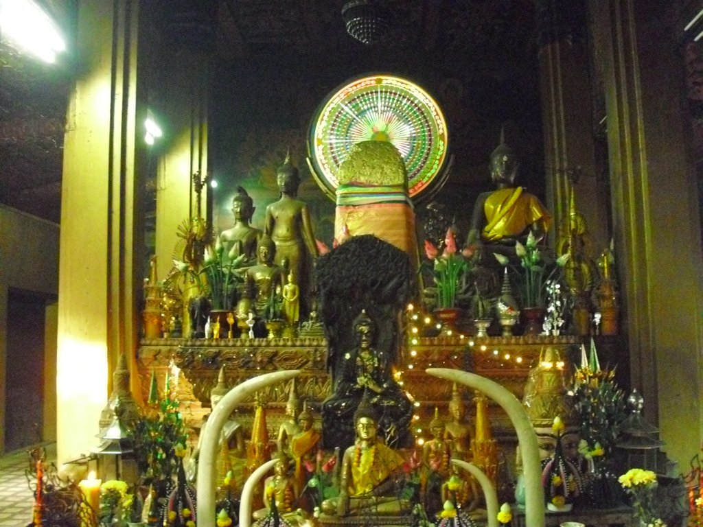Image CIMG2246.JPG