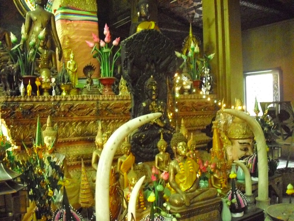 Image CIMG2248.JPG