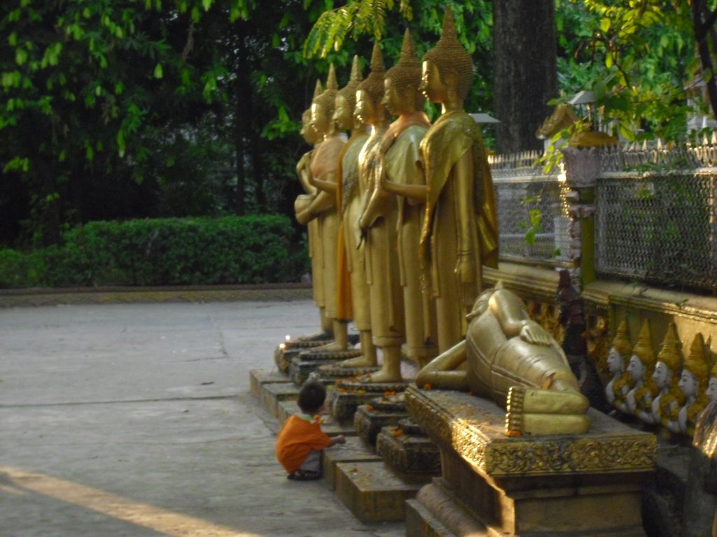 Image CIMG2255.JPG