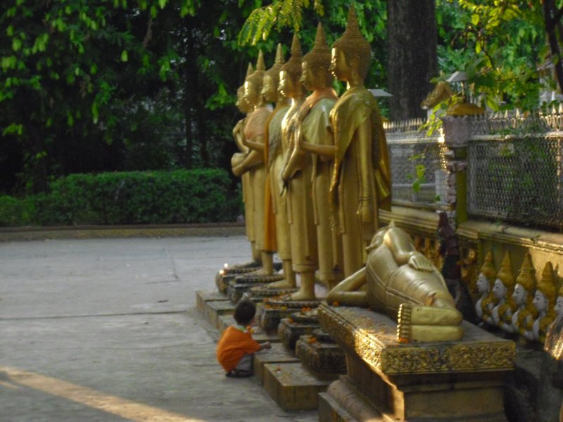 Image CIMG2255.JPG