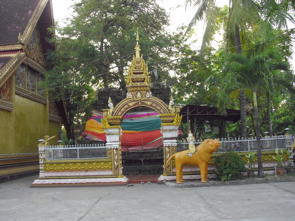 Image CIMG2256.JPG