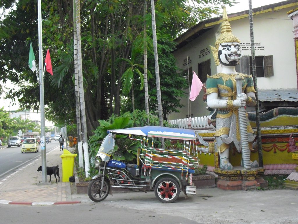 Image CIMG2266.JPG