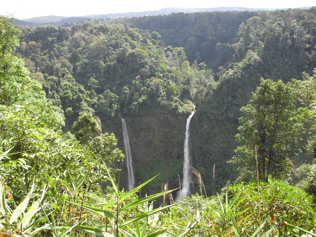 Image CIMG2284.JPG