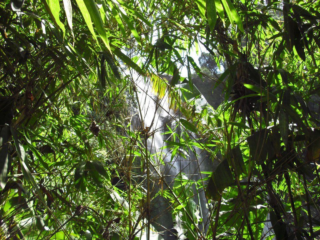 Image CIMG2293.JPG