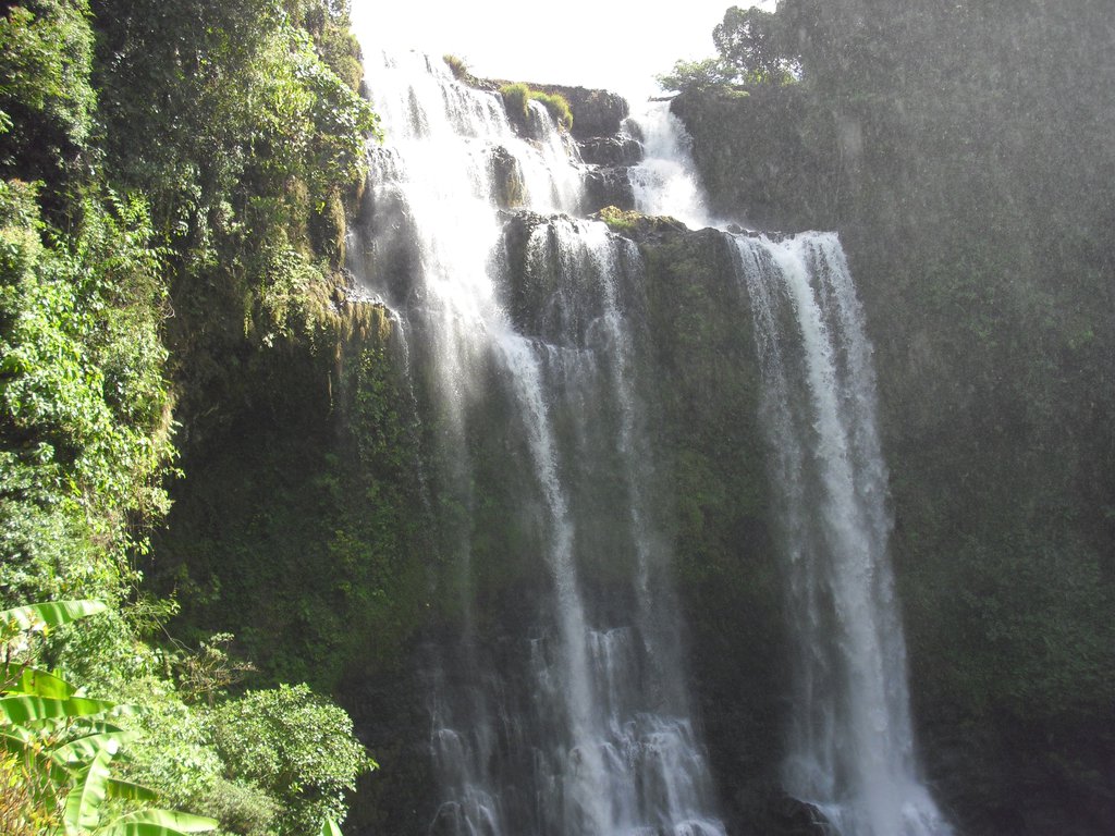 Image CIMG2295.JPG