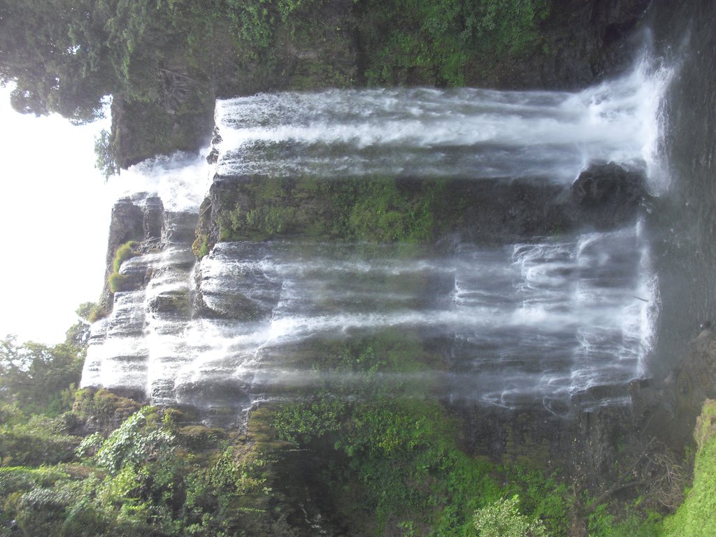 Image CIMG2296.JPG